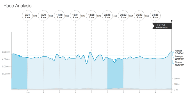 winter run race analysis