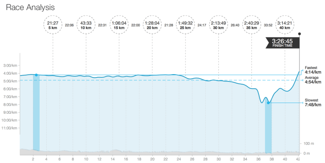 brighton race analysis